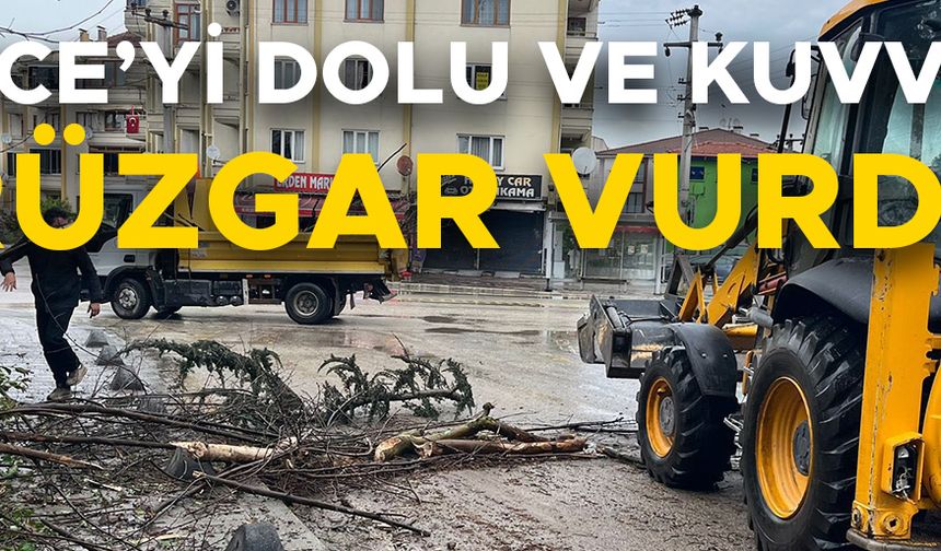BİRÇOK BÖLGEDE AĞAÇLAR DERVRİLDİ