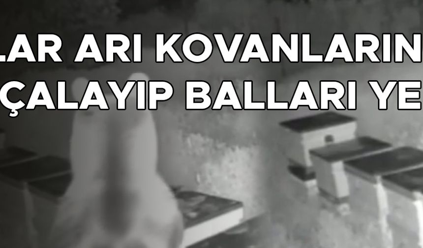 O ANLAR GÜVENLİK KAMERASINA YANSIDI