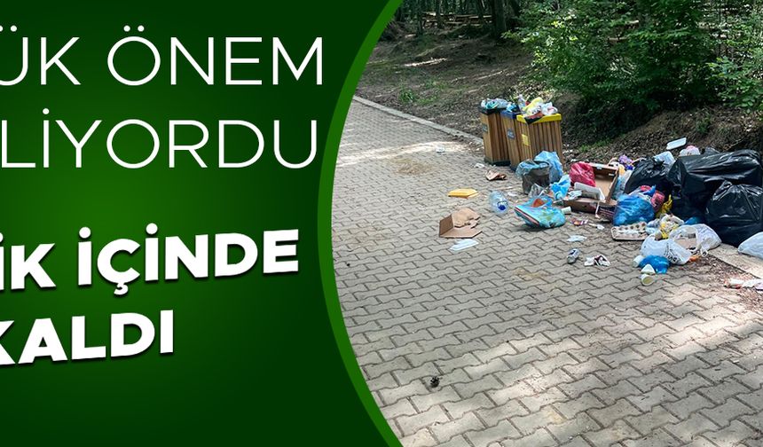 HEM DUYARSIZLIK HEM YETERSİZLİK GÜZELİM ALANI MAHVEDİYOR