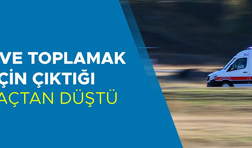 HASTANEYE KALDIRILAN ŞAHIS TEDAVİ ALTINA ALINDI