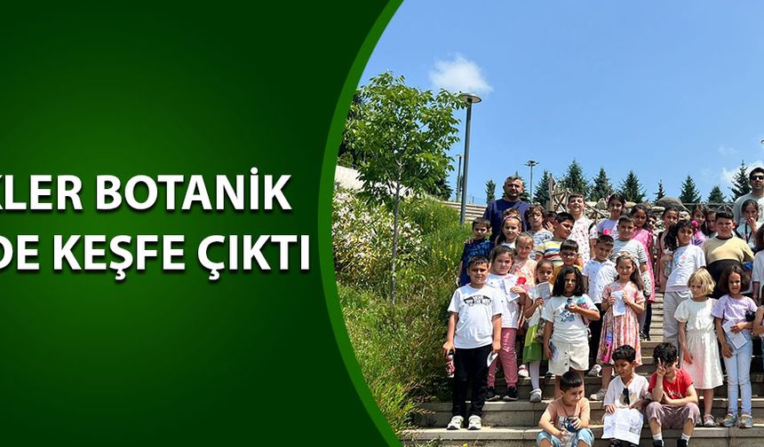 BİTKİLERİ YAKINDAN TANIDILAR