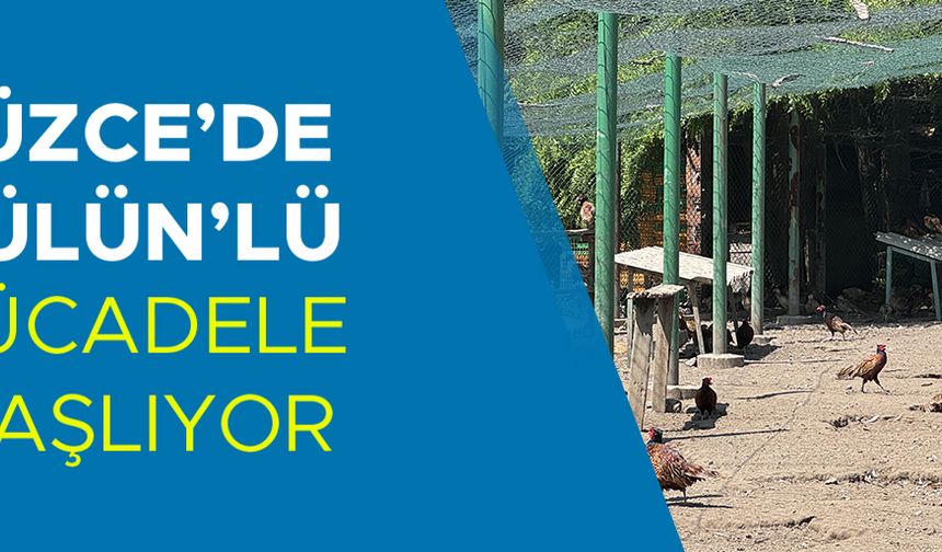 FINDIK BAHÇELERİNE YAKIN BÖLGELERE SALINACAK
