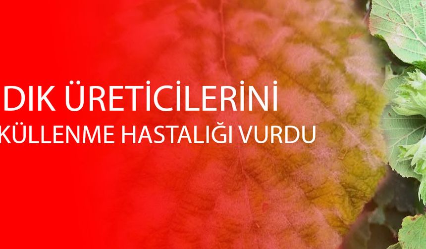BAHÇELERDE YAPILAN KONTROLLERDE YOĞUN OLARAK GÖRÜLDÜ