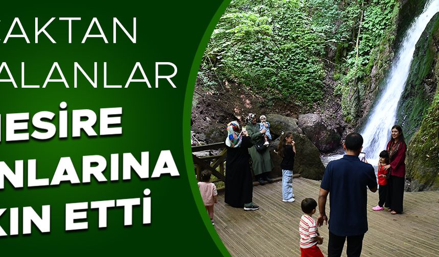 DÜZCE’NİN DOĞAL GÜZELLİKLERİ KURBAN BAYRAMINDA İLGİ ODAĞI OLDU