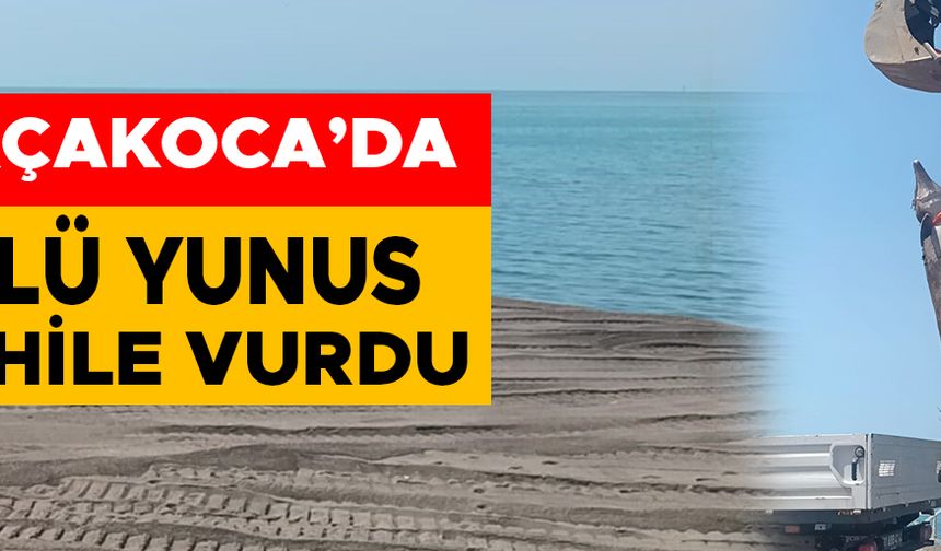 SAHİLE VURAN ÖLÜ YUNUS EKİPLER TARAFINDAN KALDIRILDI