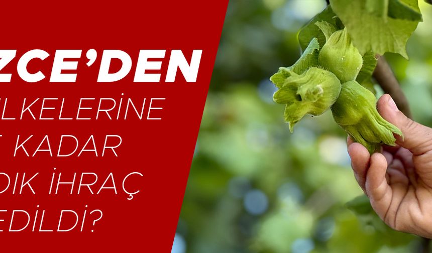 İŞTE YILIN İLK YARISINDAKİ RAKAMLAR
