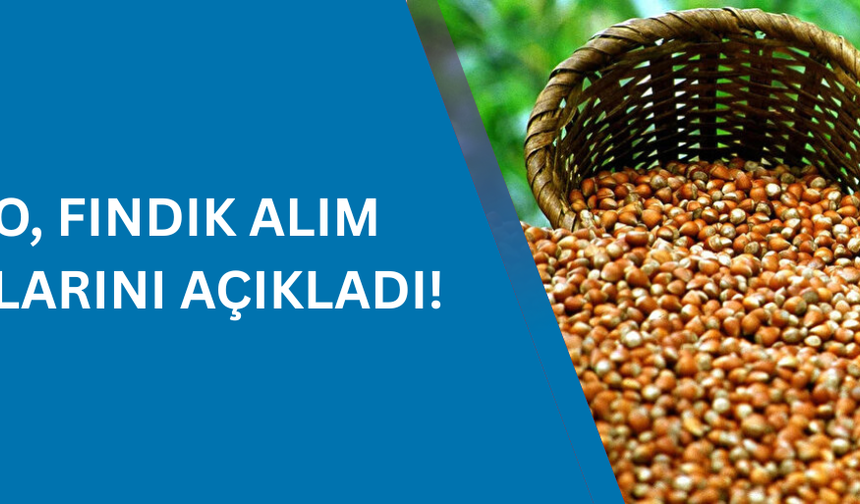 TMO, FINDIK ALIM FİYATLARINI AÇIKLADI!