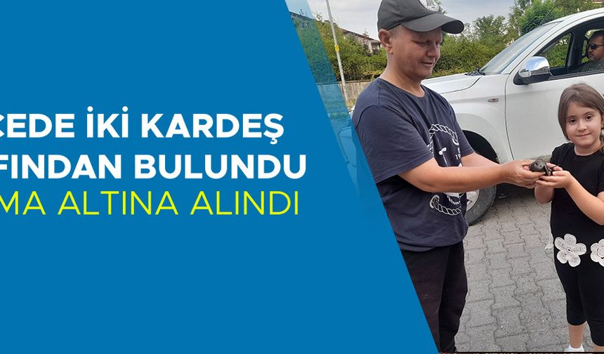 KORUMA ALTINA ALINDI