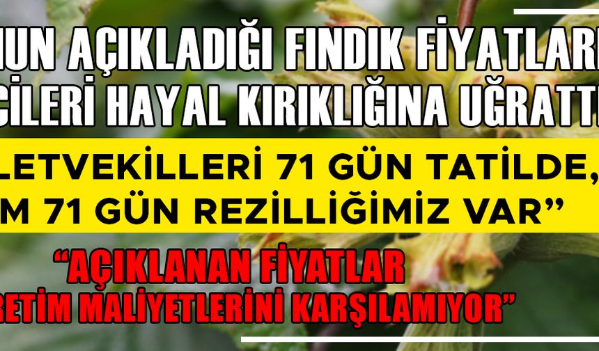 ÖNCÜ HABER FINDIK ÜRETİCİLERİNİN NABZININ TUTTU