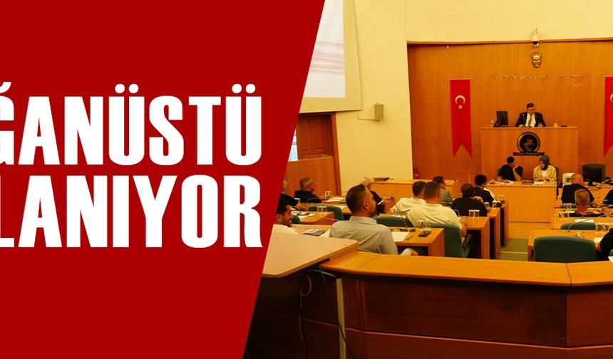 KONU: HAVA KİRLİLİĞİ VE TEMİZ DÜZCE