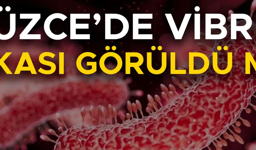 DÜZCE İL SAĞLIK MÜDÜRLÜĞÜ AÇIKLAMA YAPTI