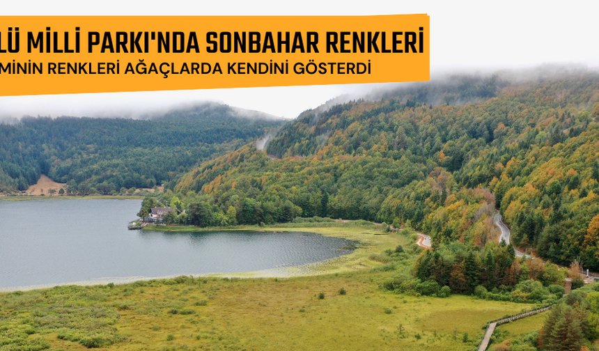 ABANT GÖLÜ MİLLİ PARKI'NDA SONBAHAR RENKLERİ