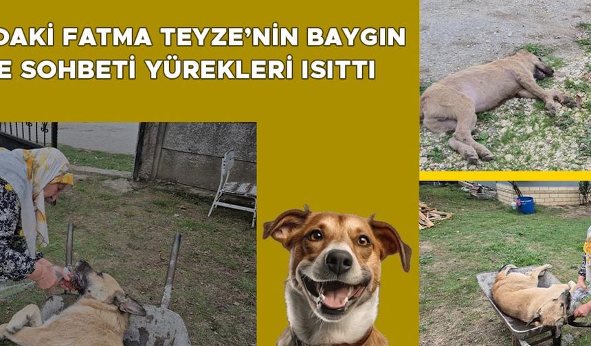 “ARKA BAHÇEMİZDEN GİRİP ALDILAR”