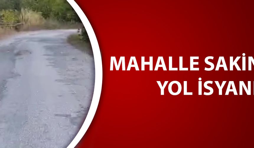 KÖY YOLU ASFALTLANDI, MAHALLE YOLU KALDI