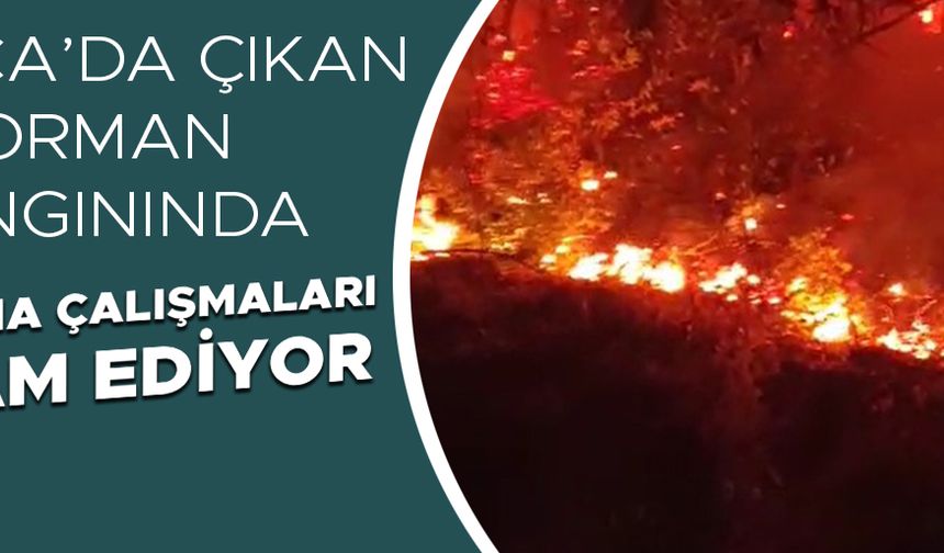 DÜZCE VALİLİĞİ’NDEN AÇIKLAMA GELDİ