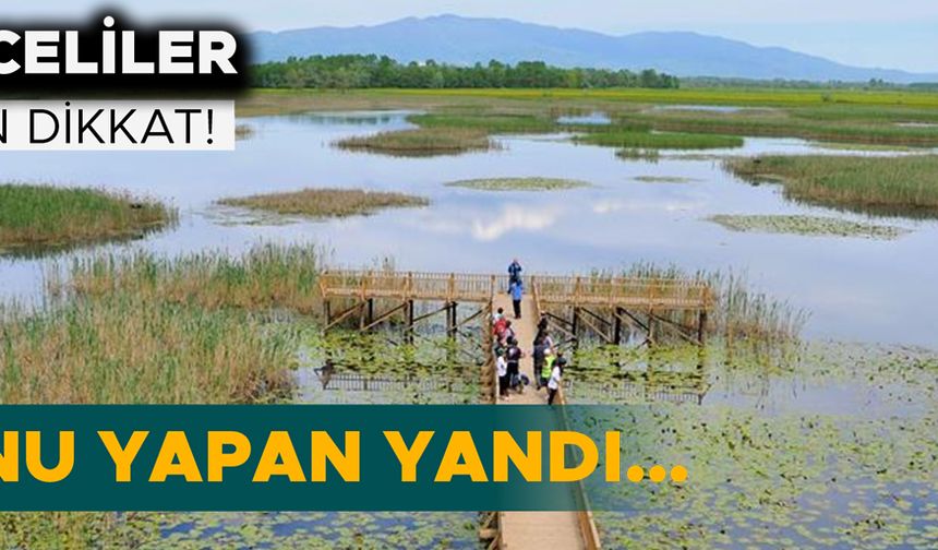 HAPİS CEZASI VE YÜKSEK MİKTARDA PARA CEZASI UYGULANACAK