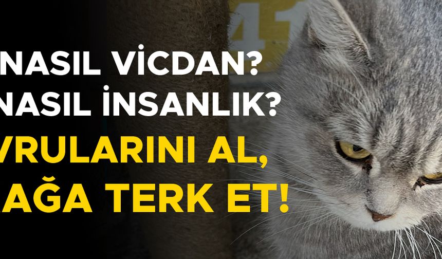 GÖLYAKA’DA YÜREKLERİ SIZLATAN OLAY