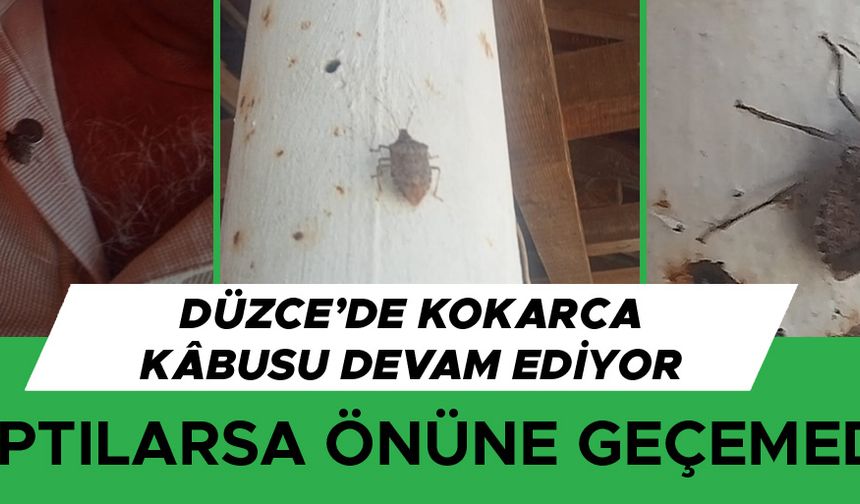 ŞİMDİ DE EVLERİ İSTİLA ETTİLER…