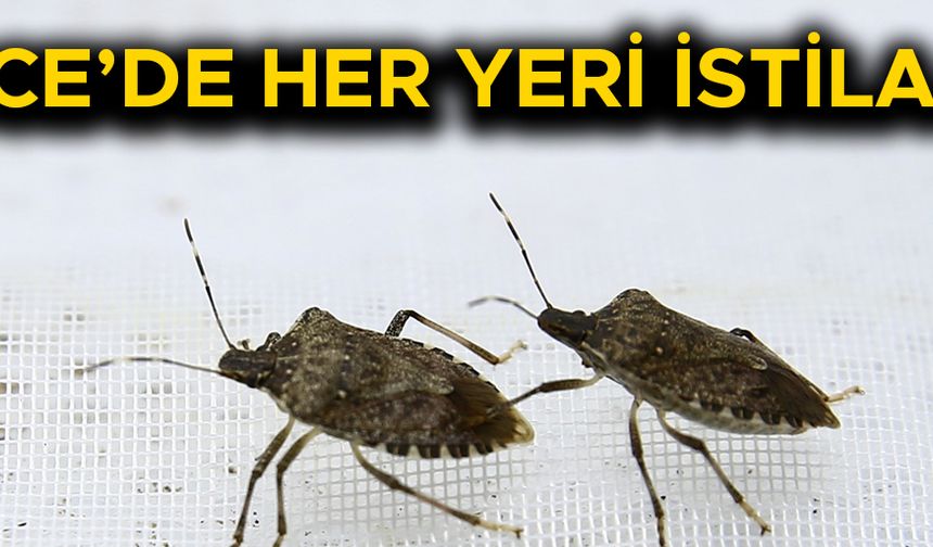 “KARANLIK VE GİZLİ YERLERİ TEMİZLEYİN”