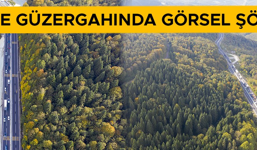 SONBAHAR RENKLERİ ARASINDA YOLCULUK