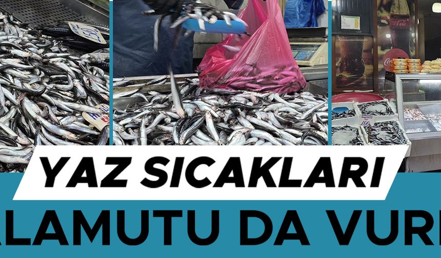 TEZGAHLARIN PRENSİ HAMSİ OLDU