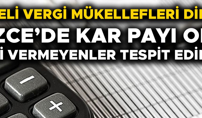 ‘CEZA ALMAMAK İÇİN VERGİ BEYANINDA BULUNUN’ UYARISI