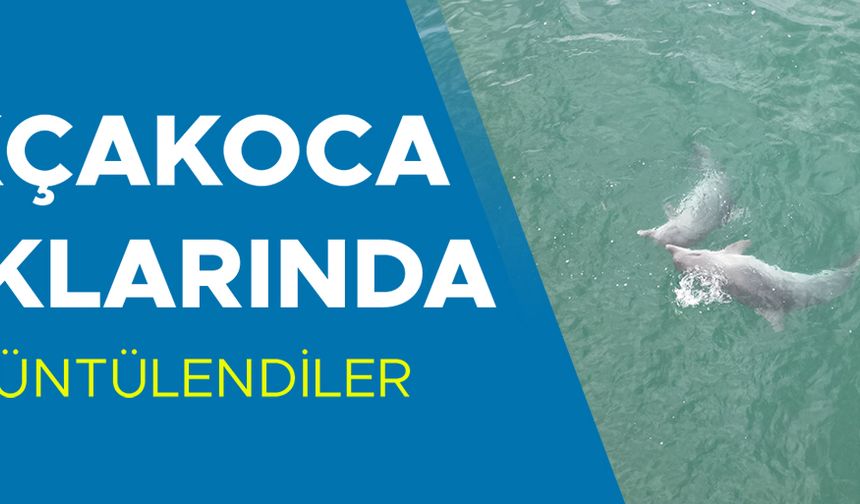 DENİZİN SEVİMLİ CANLILARI…