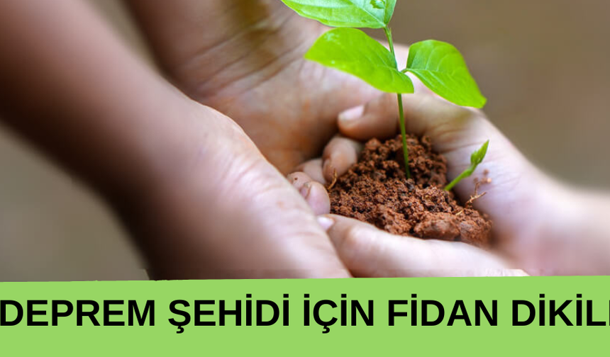 316 DEPREM ŞEHİDİ İÇİN FİDAN DİKİLECEK