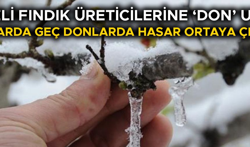 “KIŞ AYINDA HAVA SICAKLIKLARI MEVSİM NORMALLERİNİN ÜZERİNDE SEYRETMESİ BEKLENİYOR”