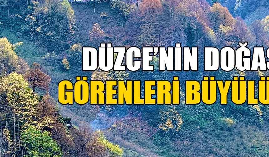 GÜZELDERE BÖLGESİ’NDE HAZAN MEVSİMİ TONLARI