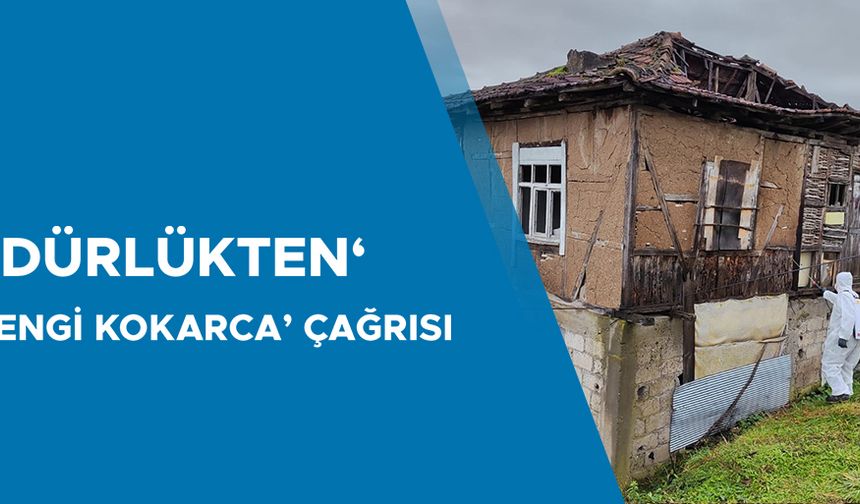 DÜZCE’DE KAHVERENGİ KOKARCA ZARARLISI İLE MÜCADELE DEVAM EDİYOR
