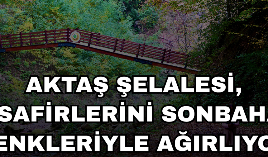 DÜZCE'NİN EKOTURİZM ROTASI 'AKTAŞ ŞELALESİ'