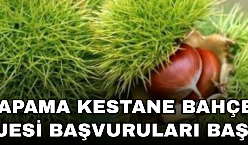 BAKANLIK YÜZDE 75 DESTEK VERİYOR