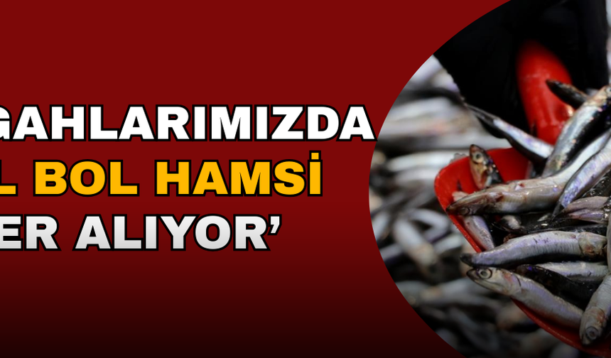 PALAMUT GÜRCİSTAN'A KAÇINCA TEZGAHLAR HAMSİYLE DOLDU