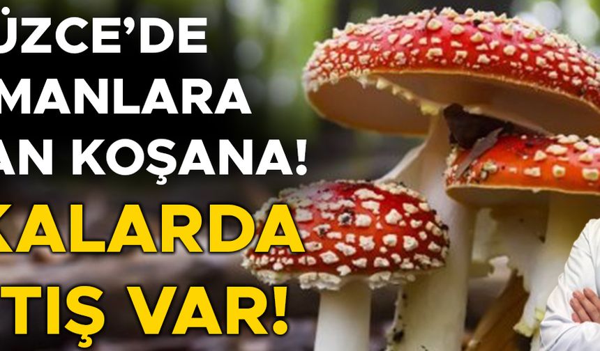 UZMANI UYARDI: TOPLAMAYIN, RİSK ALMAYIN!