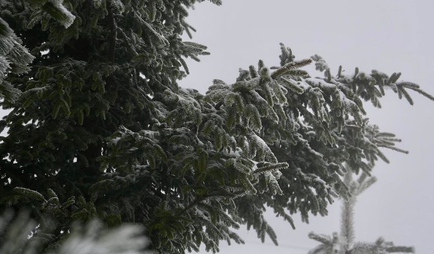DÜZCE’NİN YAYLALARI KIŞA MERHABA DEDİ