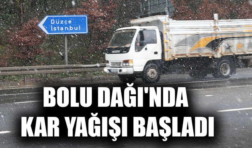 YOLDA TUZLAMA ÇALIŞMASI GERÇEKLEŞTİRİLDİ