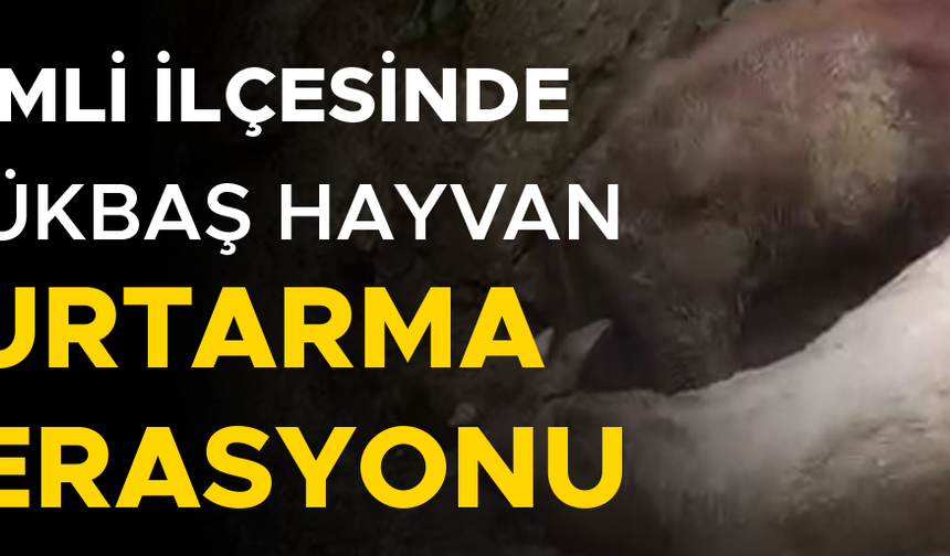 İTFAİYE EKİPLERİ VE KÖYLÜLER SEFERBER OLDU