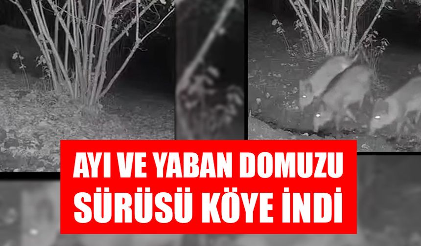 EVİN BAHÇESİNİ DAĞITTILAR