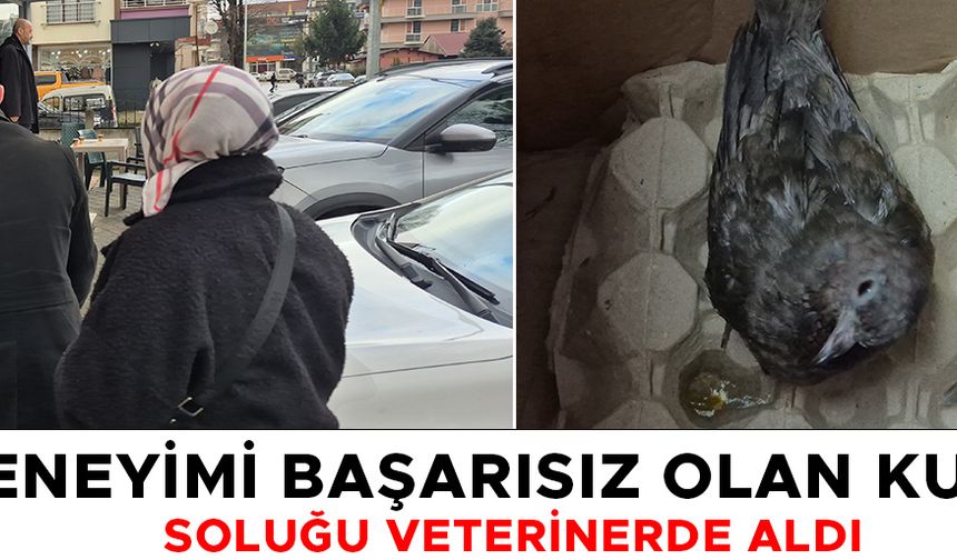 DUYARLI VATANDAŞTAN İNSANLIK DERSİ