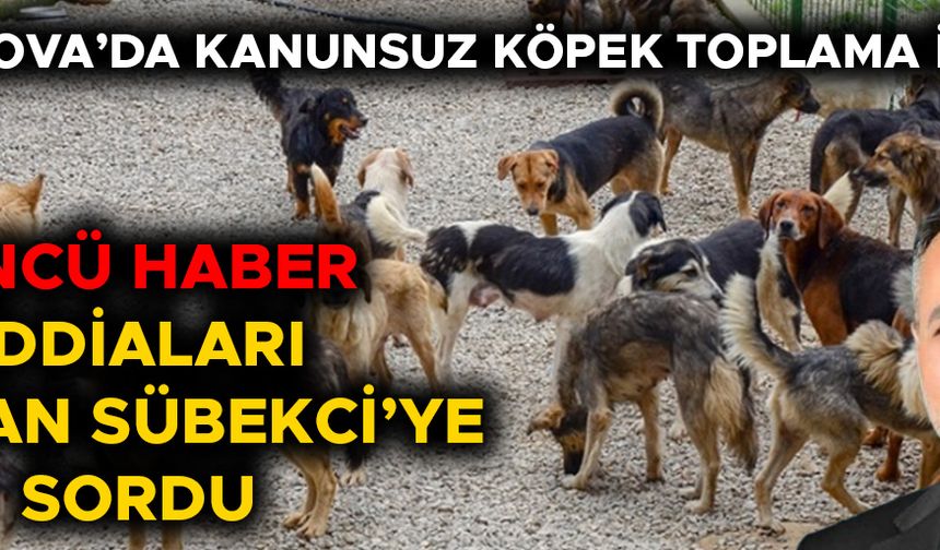 “YENİ KANUNA GÖRE ÇALIŞMA YAPIYORUZ”