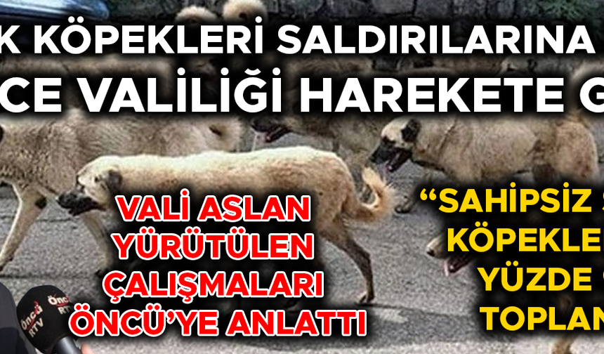 “DÜZCE SOKAKLARINDA ARTIK SAHİPSİZ KÖPEK OLMAYACAK”
