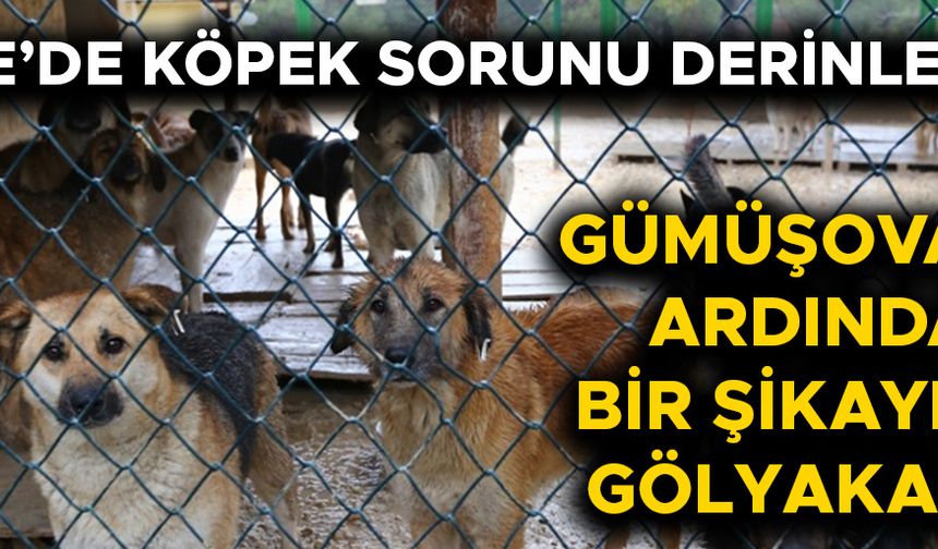“4 BİN TL VERMEZSEN KÖPEĞİM ELLERİNDE REHİN”