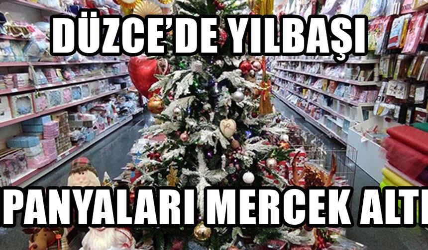 İL GENELİNDE SIKI DENETİM BAŞLADI