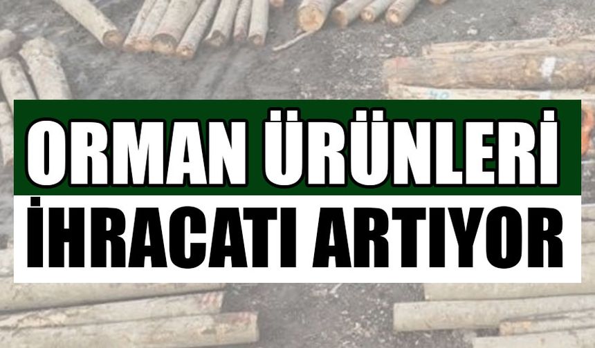DÜZCE’DEN 22 BİN 310 TON ORMAN ÜRÜNÜ İHRAÇ EDİLDİ