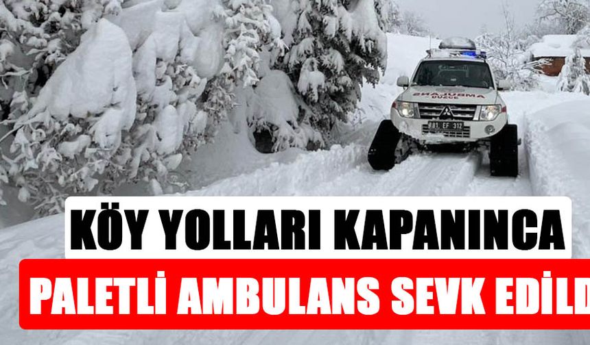 YIĞILCA İLÇESİNDE 95 YAŞINDAKİ HASTA İÇİN YOĞUN MÜCADELE