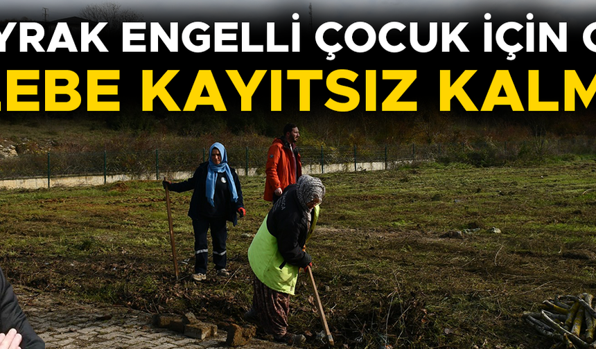 BELEDİYE EKİPLERİ PARK İÇİN ÇALIŞMALARA BAŞLADI