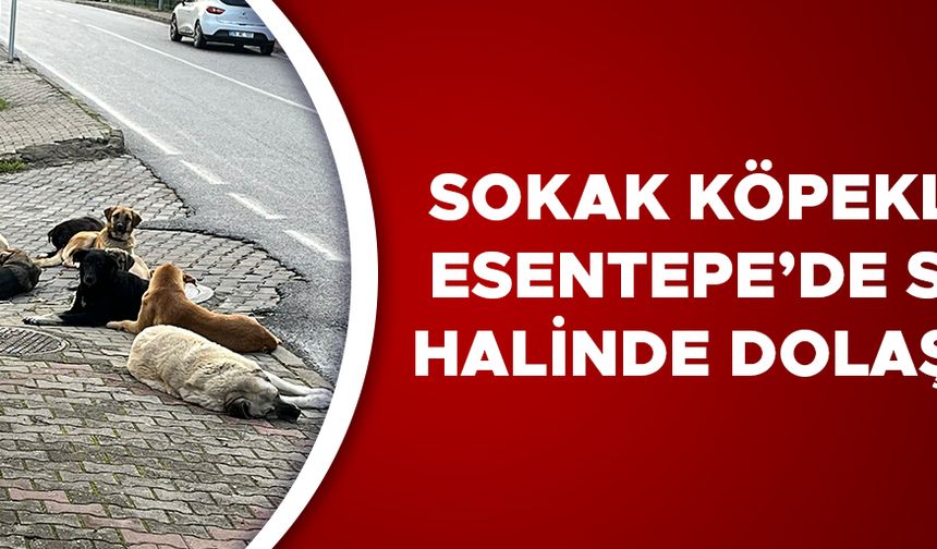 MAHALLE SAKİNLERİ ÇÖZÜM BEKLİYOR