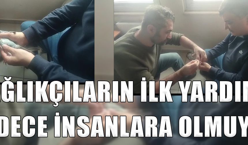 YAPILAN MÜDAHALE İLE HAYATA YENİDEN TUTUNDU