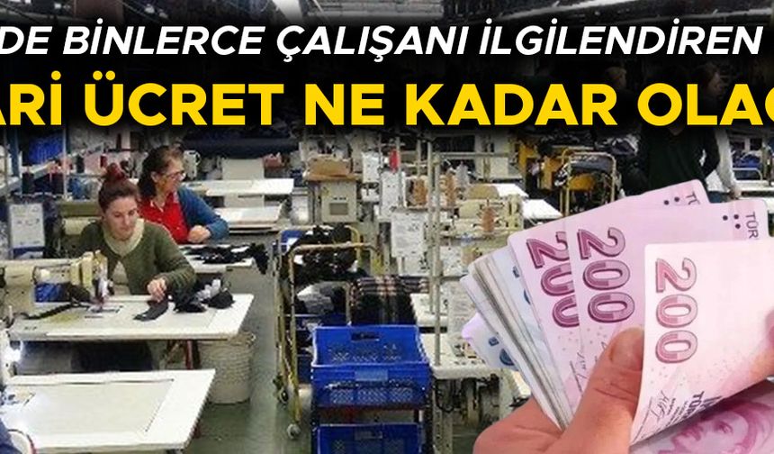 KASIM AYI ENFLASYON RAKAMLARI ARTIŞTA ÖNEMLİ ROL OYNAYACAK